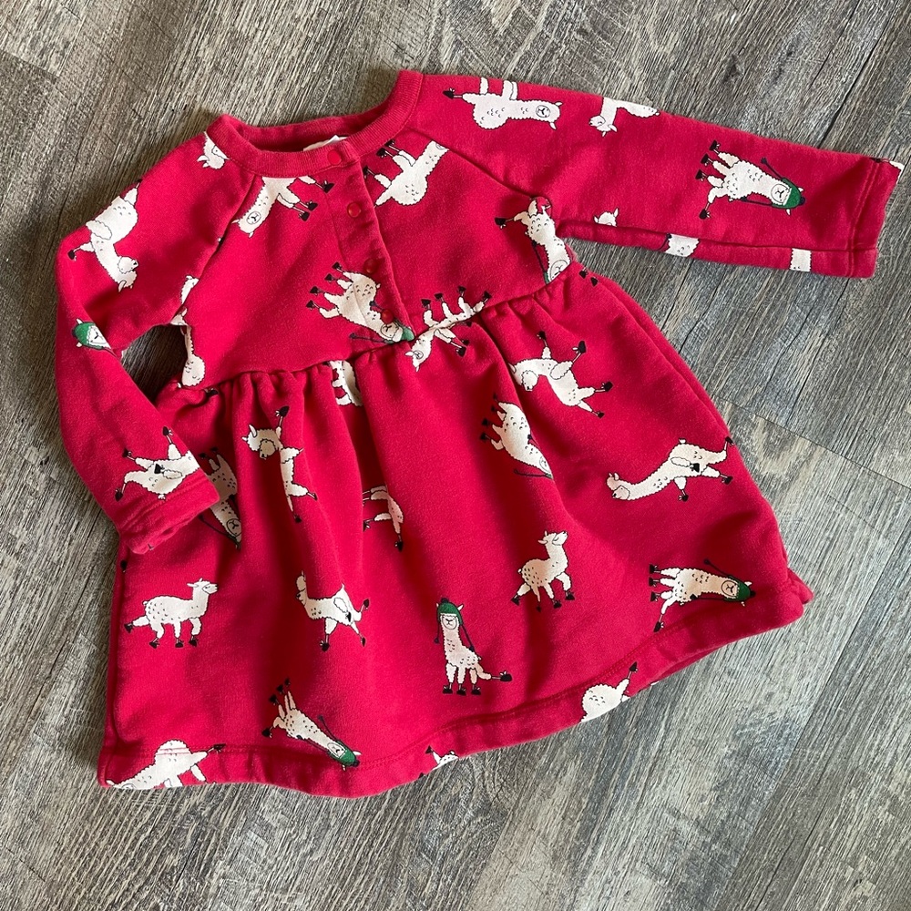 Hanna Andersson long sleeve llama print dress